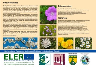 Informationstafel: Streuobstwiese - Pflanzen- und Tierwelt (Gemeinde Wohlsborn)