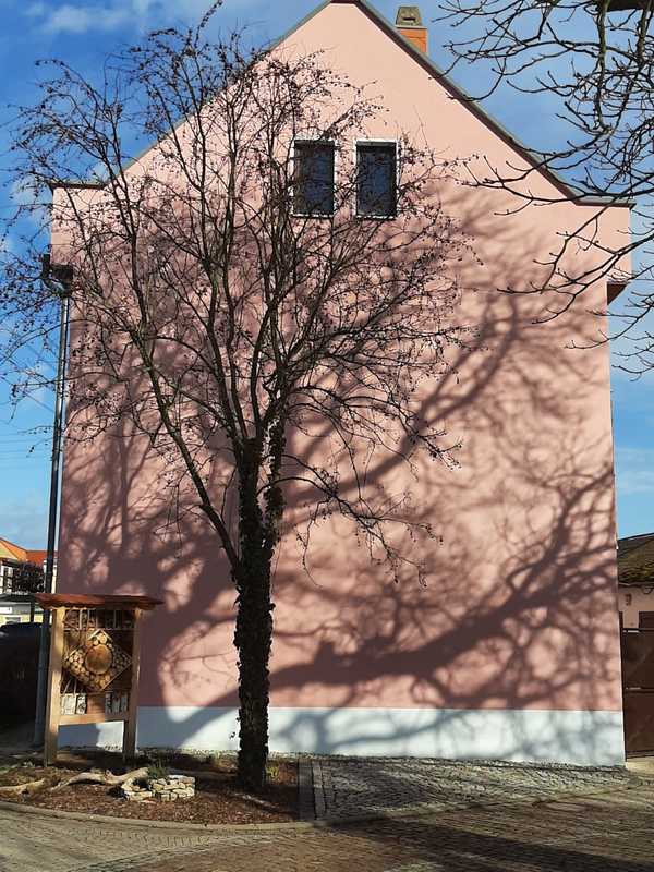 Alte Schule - Fassadensanierung, Bild: Gemeinde Ilmtal - Weinstraße